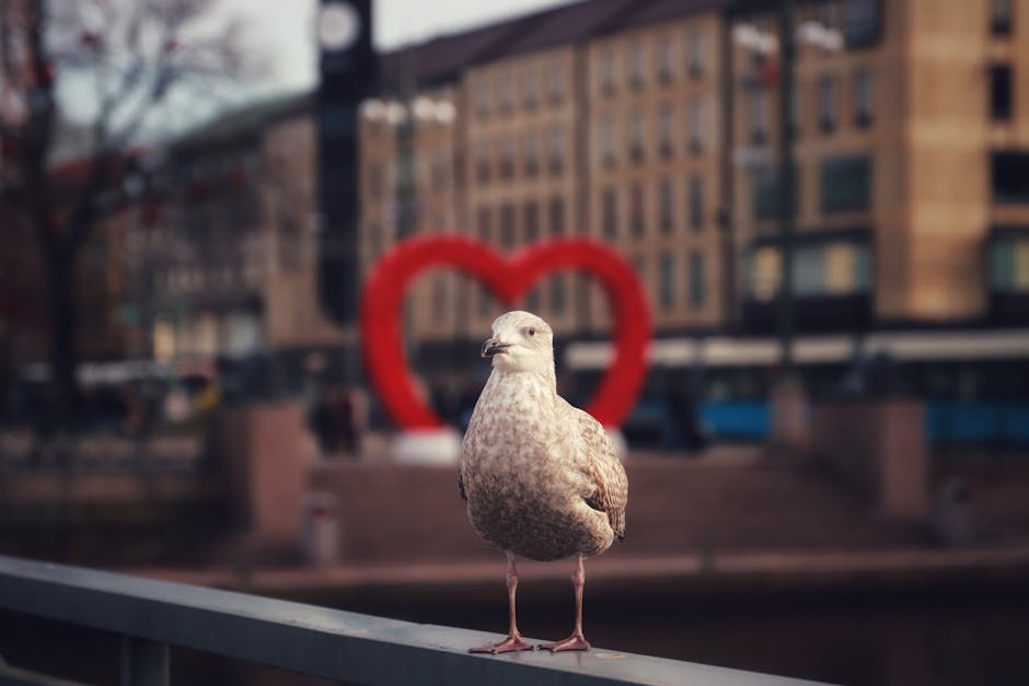 The Importance of Pigeon Netting for Urban Residences